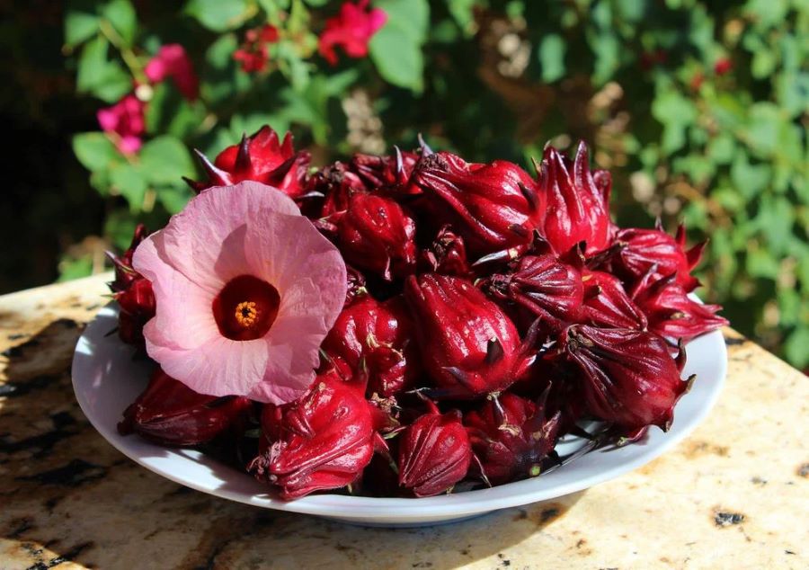 mứt hibiscus ngâm